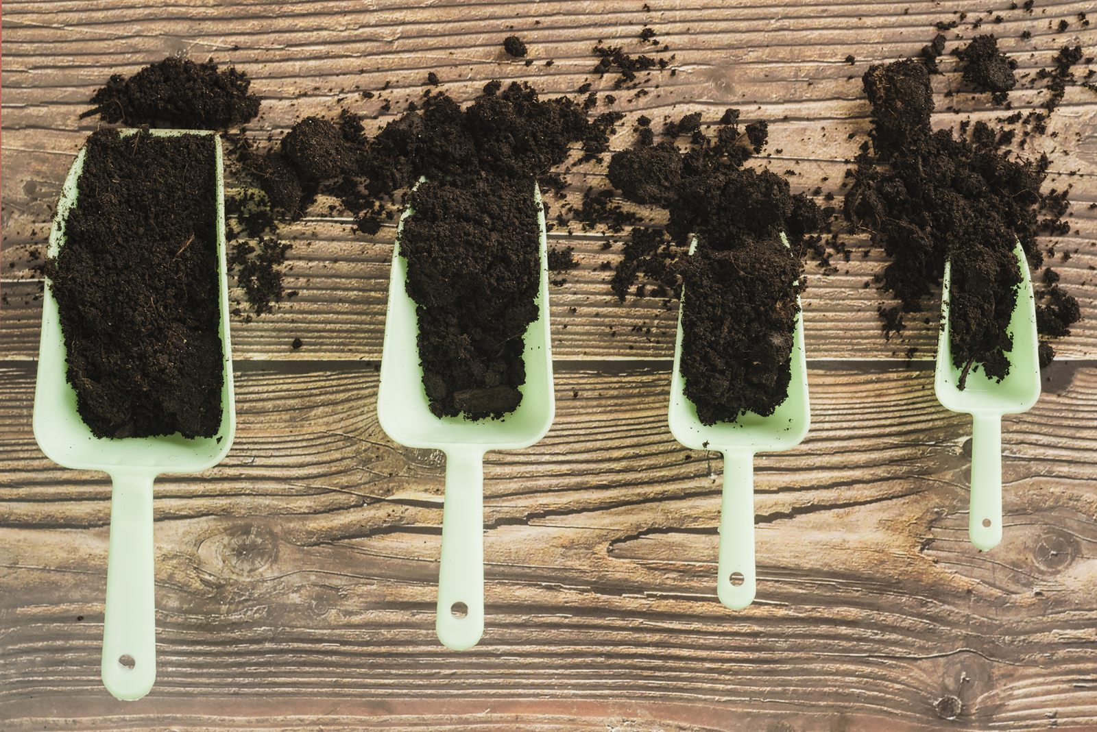 Compost mûr, mélange de fumier bovin et d'écorce